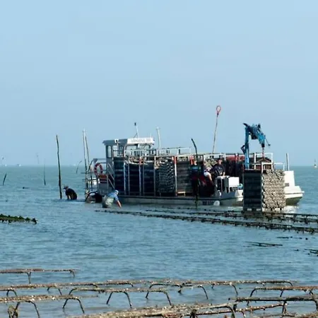 Appt Confort Avec Terrasse Au Calme A Fouras! * Fouras