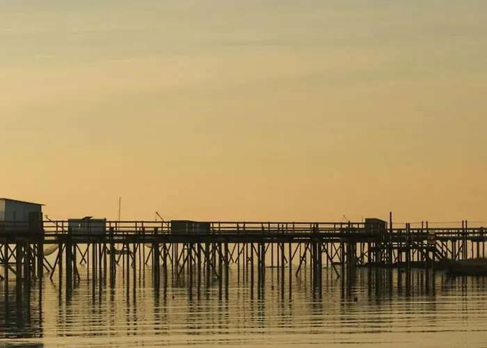 Appt Confort Avec Terrasse Au Calme A Fouras!