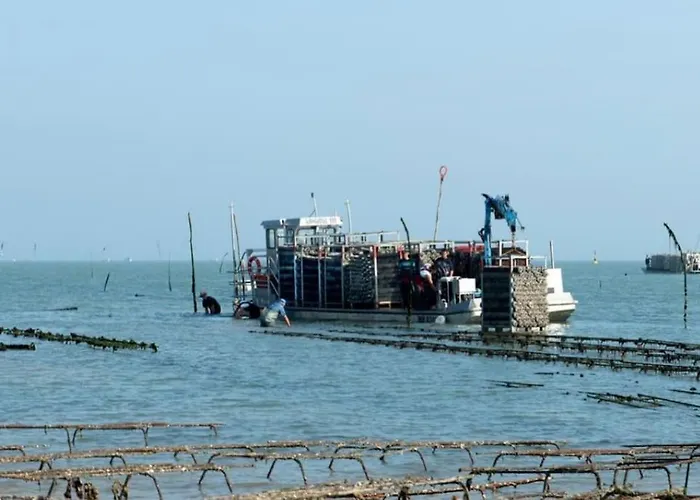 Appt Confort Avec Terrasse Au Calme A Fouras! * Fouras